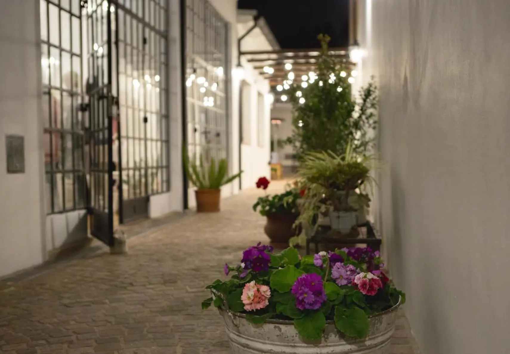 Pasillo empedrado iluminado de noche con macetas de flores